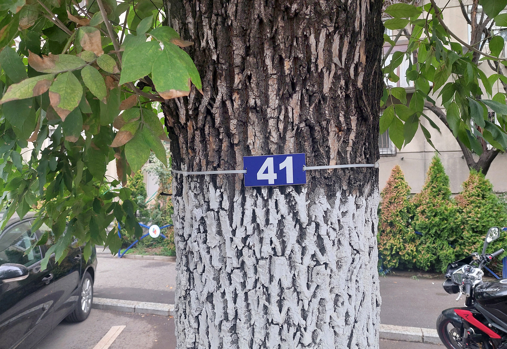 Cu ochii-n 3,14