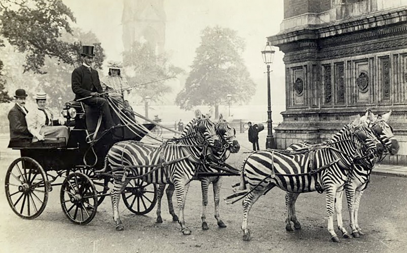 Cred (ȋn orice) pentru că (nu mai) este absurd