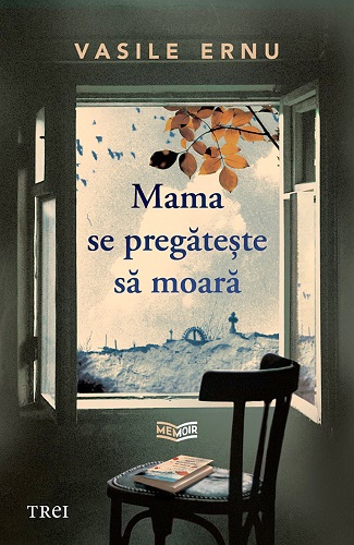 Granița ambiguă a memoriei