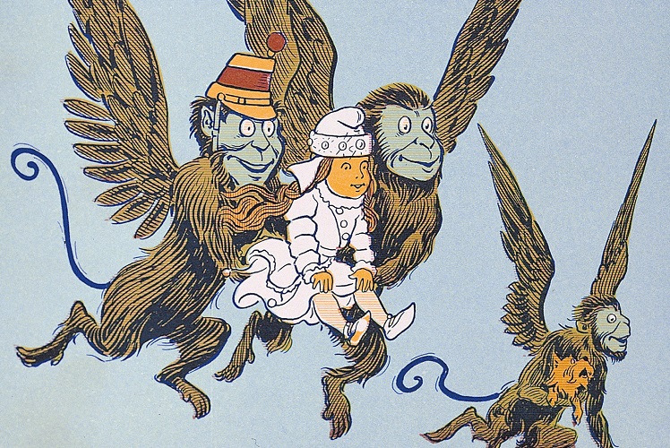 Despre bufnițe și maimuțe zburătoare