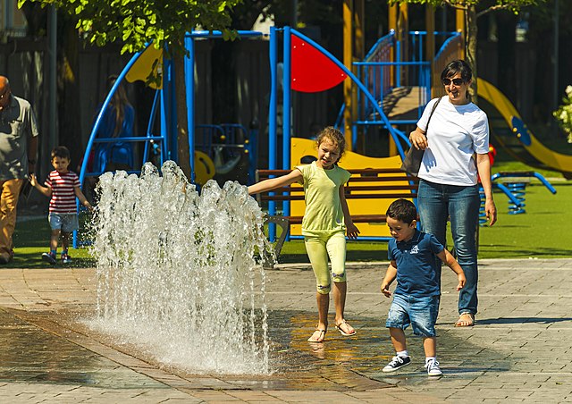 Gravitația are doar cîțiva anișori