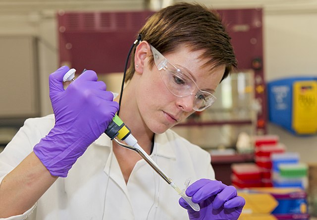 Spiritul dionisiac în cercetare