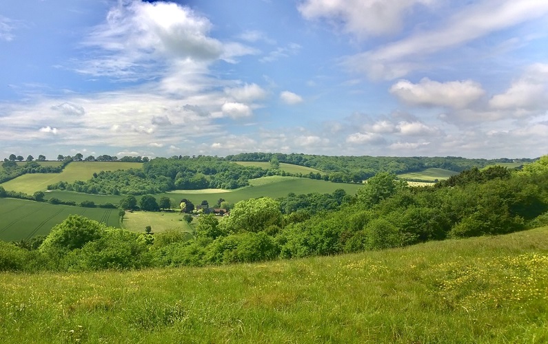 Cer albastru și deal înverzit