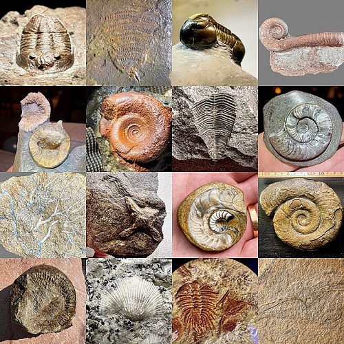 Datele și păcatele