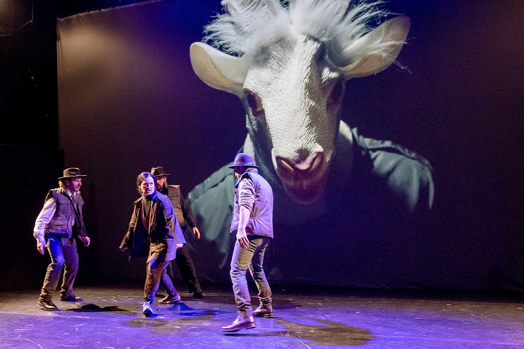 Teatru, dans și alte animale –  Sepsi Theatre ShowCase 3, Sfîntu Gheorghe, Covasna (23-30 martie 2026)