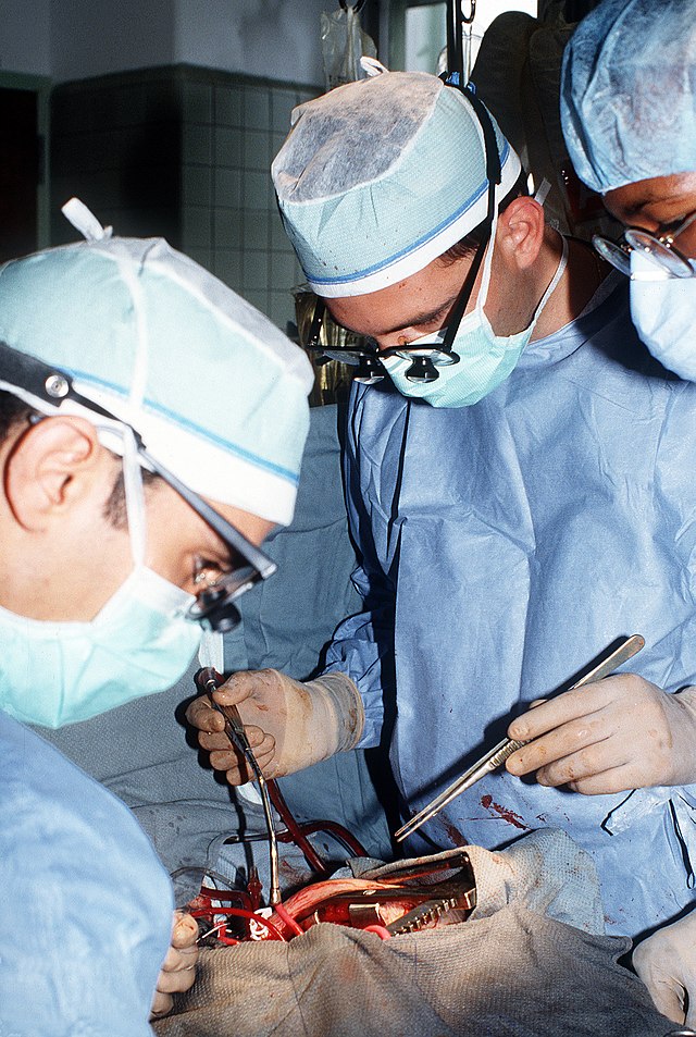  Artele și formarea gîndirii medicale