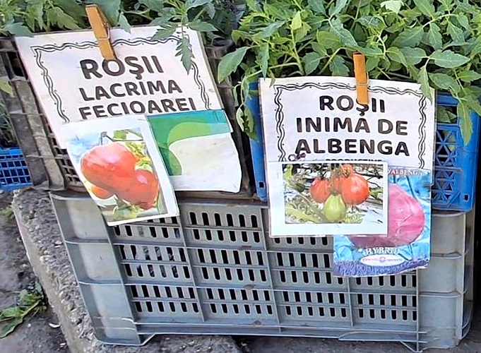 Cu ochii‑n 3,14