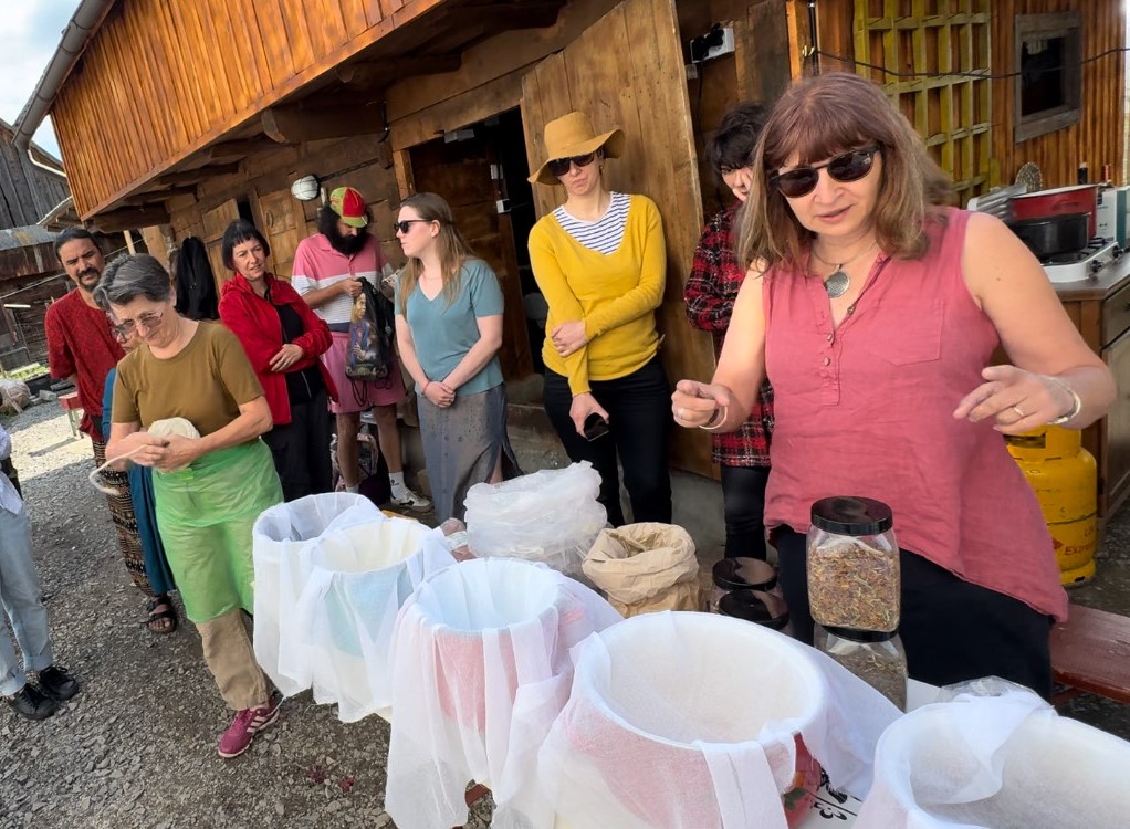  „Pînă la la sfîrșitul secolului al XIX-lea, firele textile au fost vopsite doar cu coloranți naturali” – interviu cu cercetătoarea Irina PETROVICIU –