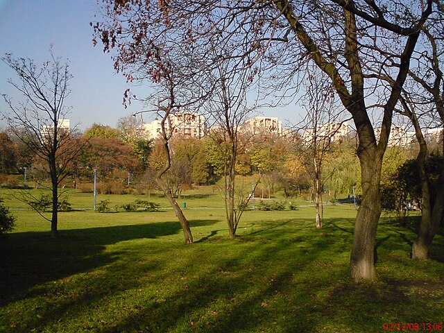 Din Arizona în cartierul bucureștean Tei