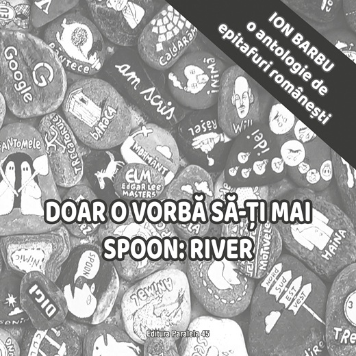 Instalații poetice 2D – viața literară după moarte