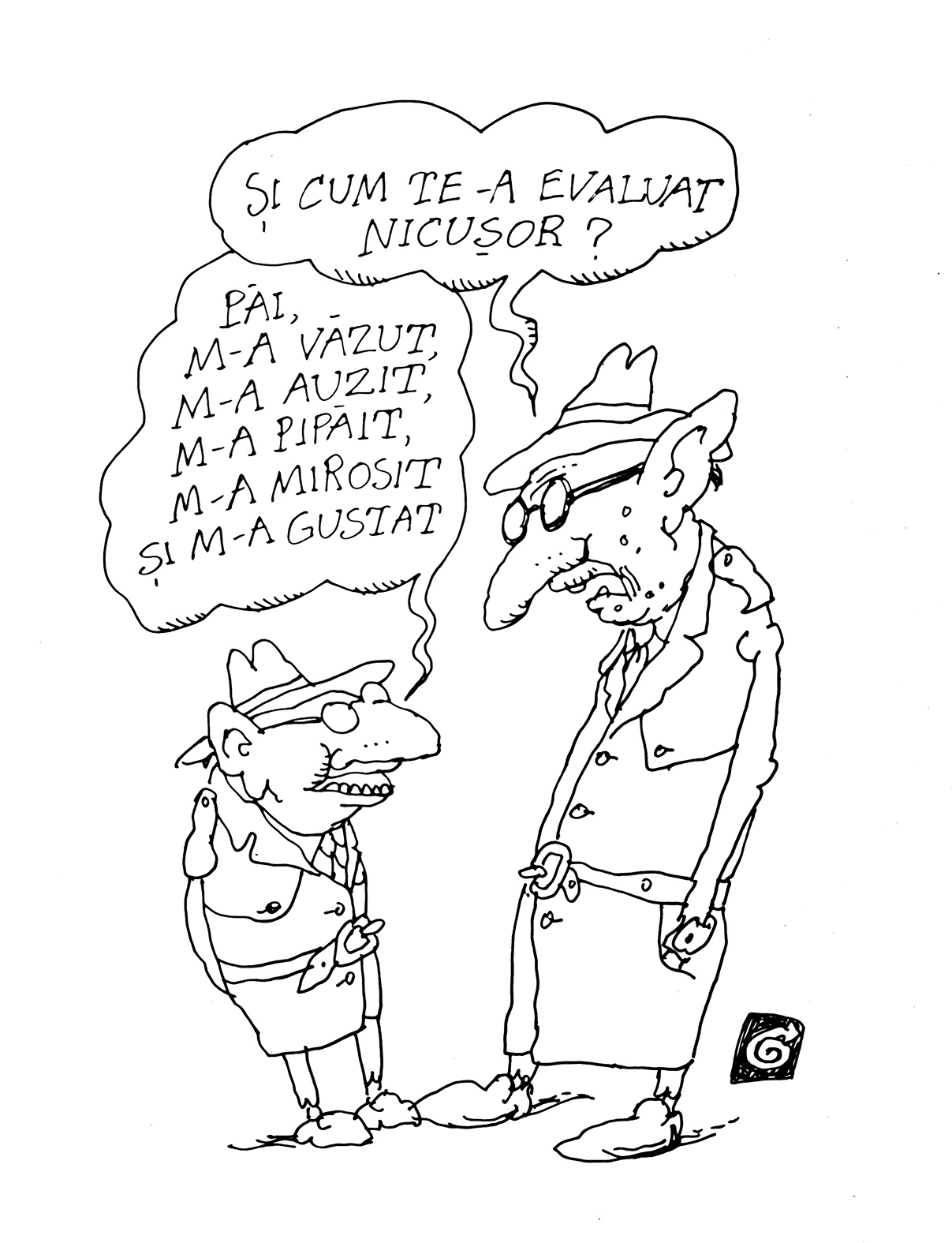 barburisme
